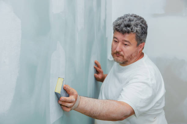 Best Post-Construction Mold Inspection  in Delta Junction, AK